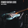 Fender Guitar Licks album cover