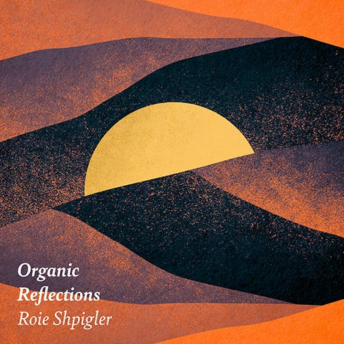 Organic Reflections album cover