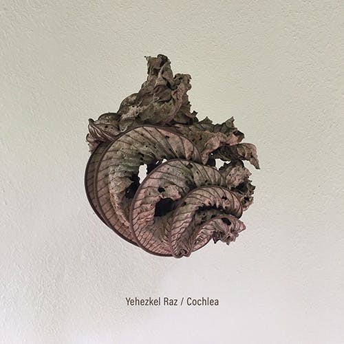 Cochlea album cover