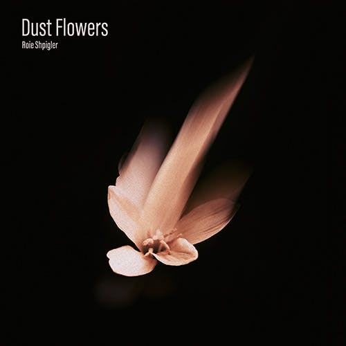 Dust Flowers album cover