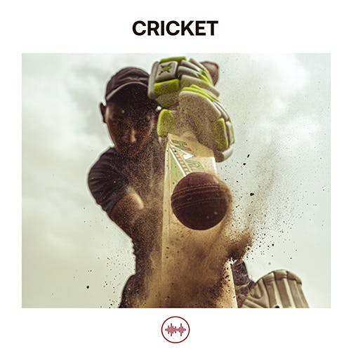 Cricket