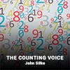 The Counting Voice album cover