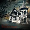 Haunted House album cover
