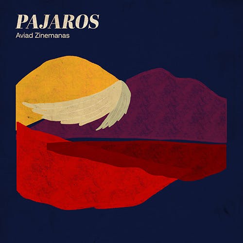 Pajaros album cover