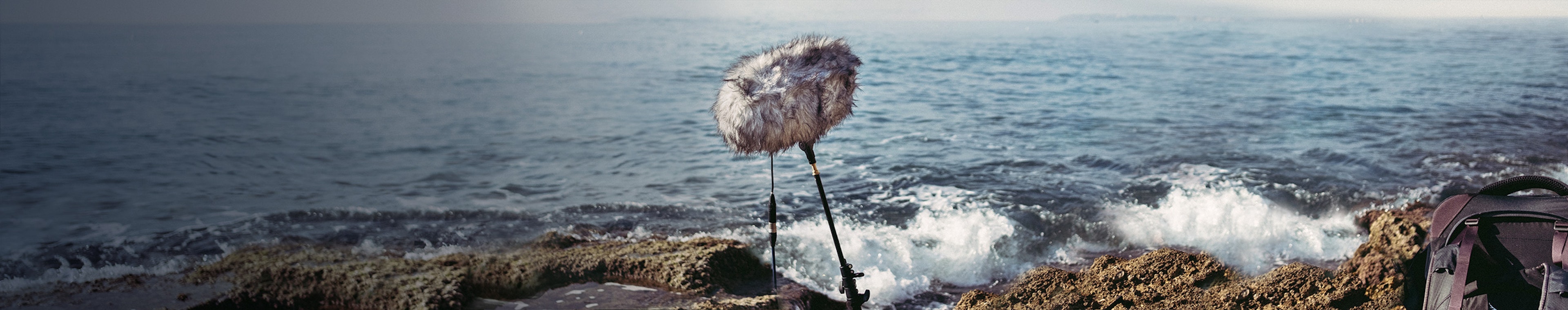 Braams and Bass - Short Bass Drop, Reverberant, Echoing by Phil Michalski