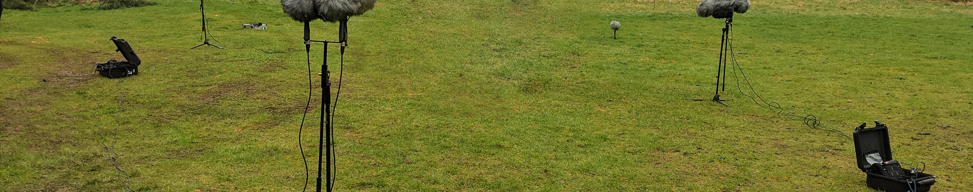 Dark Creatures - Pig, Squealing, Snorting by Barney Oram