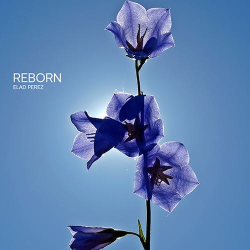 Reborn album cover