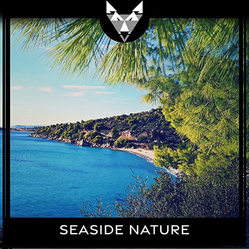 Seaside Nature