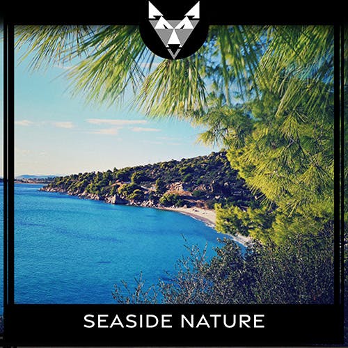 Seaside Nature album cover