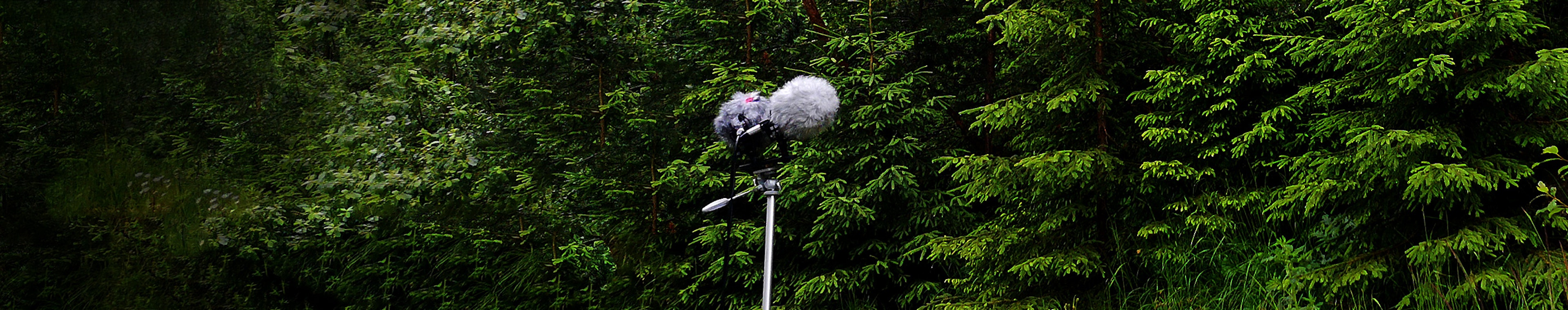 Active City - Pedestrian Street, Distant Walla by West Wolf