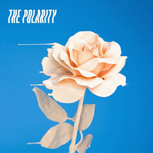 The Polarity I album cover