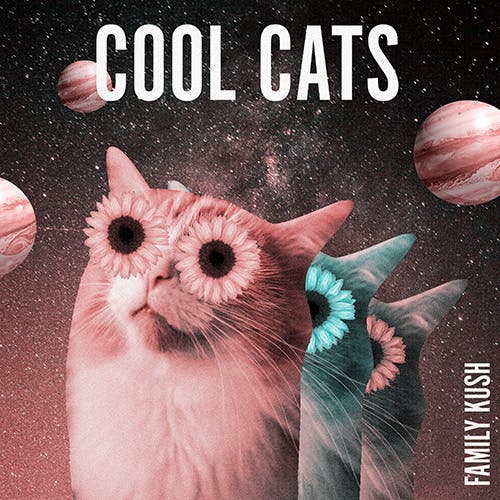 Cool Cats album cover