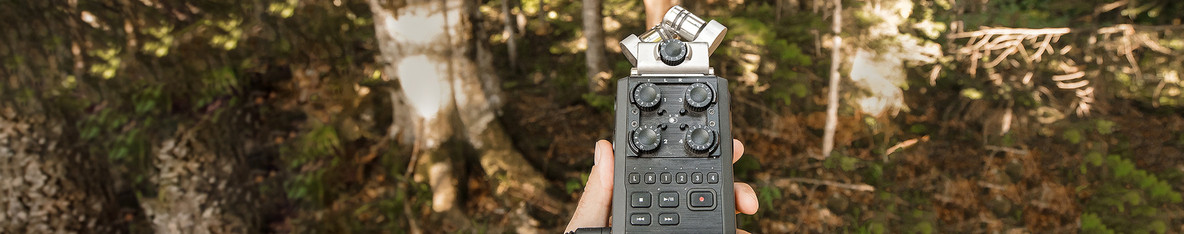 Ambient Nature - Loud Cicadas and Crickets Chirping  by Epic Stock Media