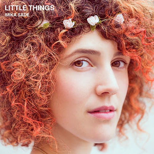 Little Things album cover