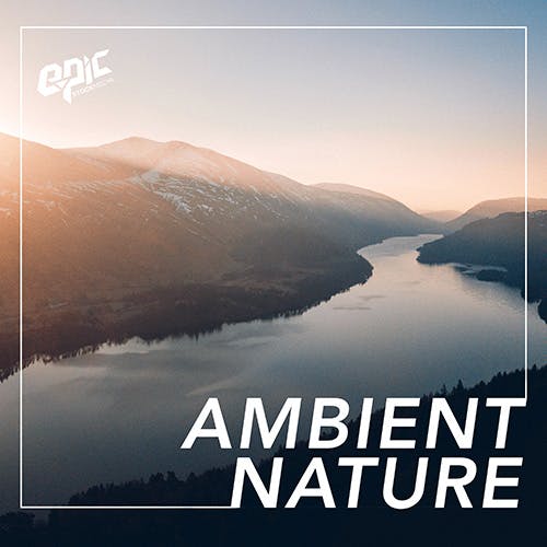 Ambient Nature