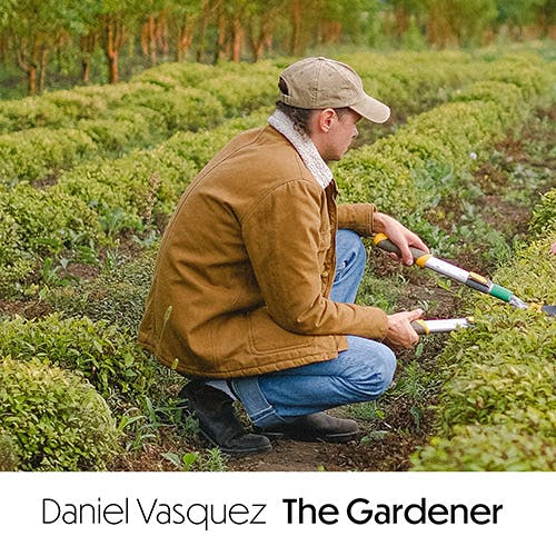 The Gardener album cover