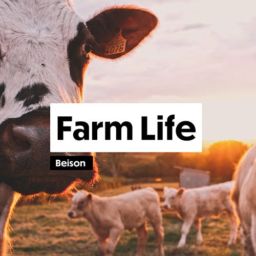 Farm Life 