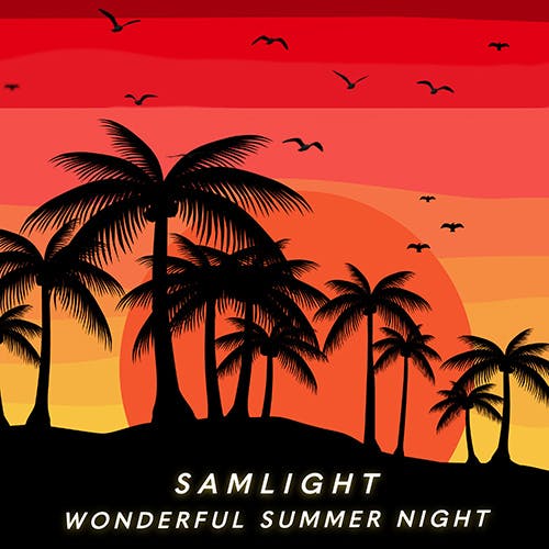 Wonderful Summer Night album cover