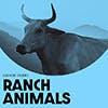 Ranch Animals album cover
