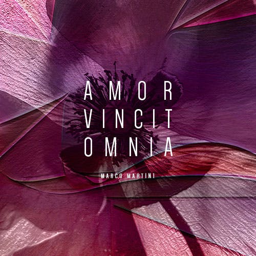 Amor Vincit Omnia album cover