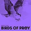 Birds of Prey album cover