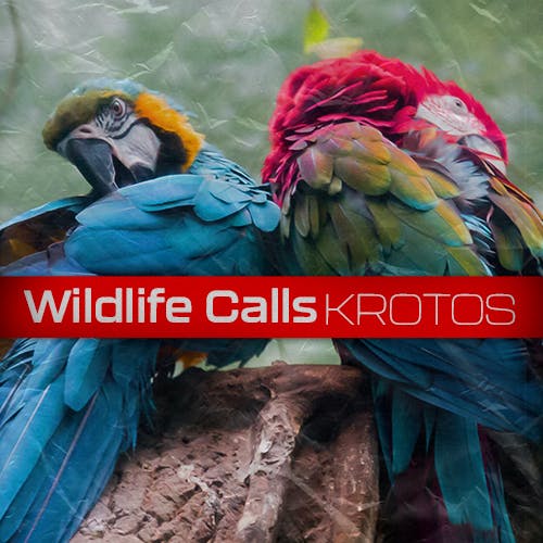 Wildlife Calls