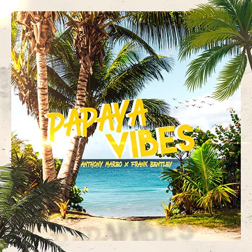 Papaya Vibes album cover