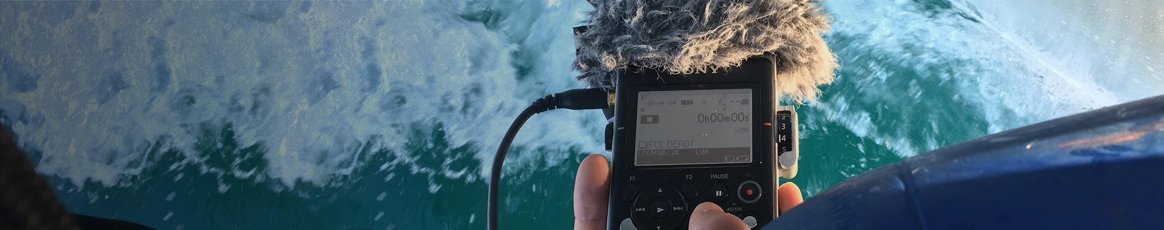 Beware of Dog - Big Dog Barking in the Courtyard by Lukas Tvrdon