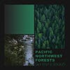 Pacific Northwest Forests album cover