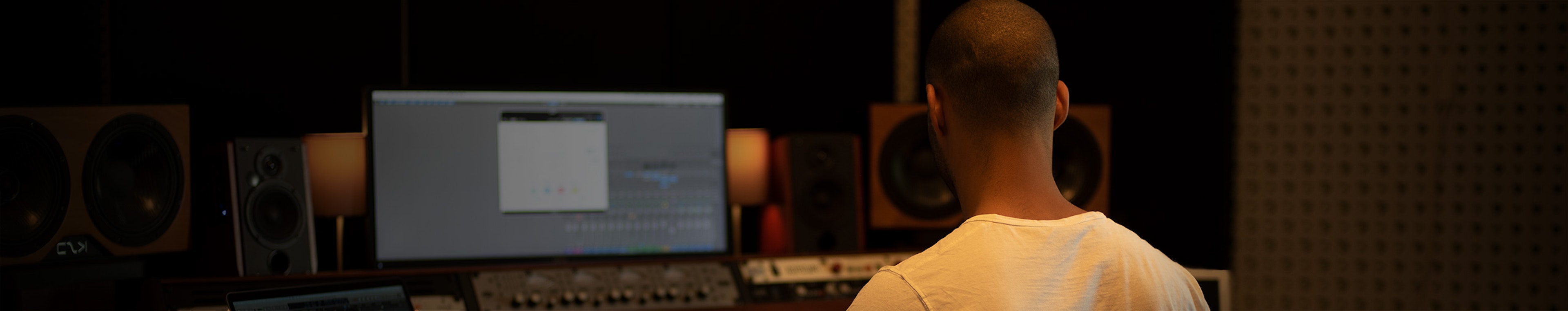 Insects & Reptiles - Bees Buzzing, Fly By by BOOM Library