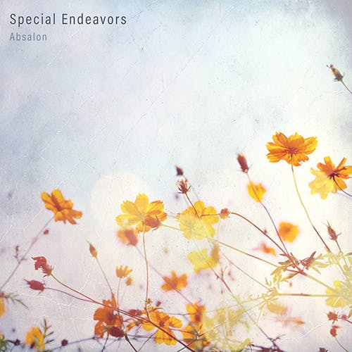 Special Endeavors album cover