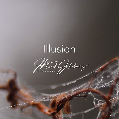 Illusion album cover