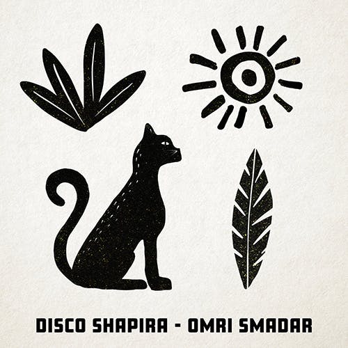 Disco Shapira album cover