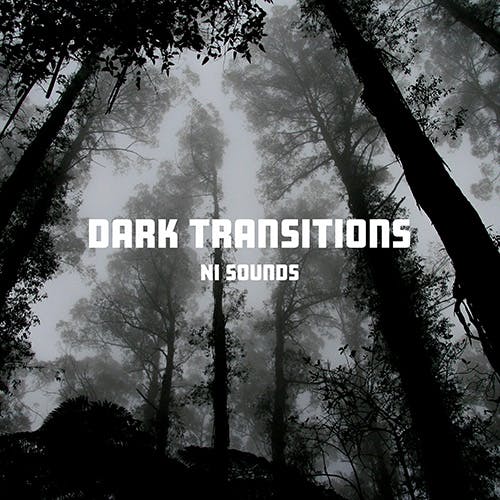 Dark Transitions album cover