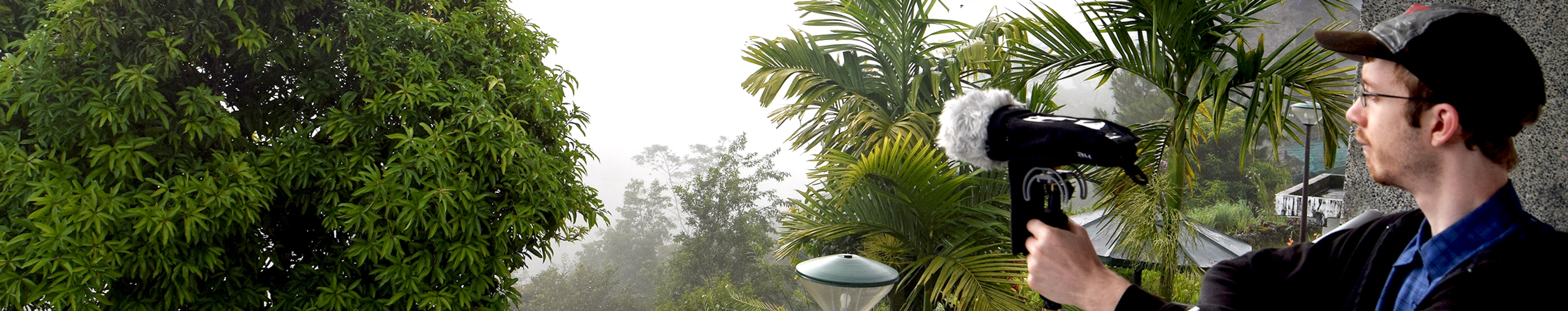 Cold Weather - Rainfall, Moderate, Steady by InspectorJ