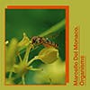 Organisms album cover