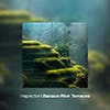 Banaue Rice Terraces album cover