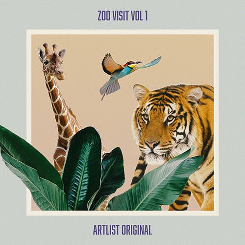 Zoo Visit Vol 1 