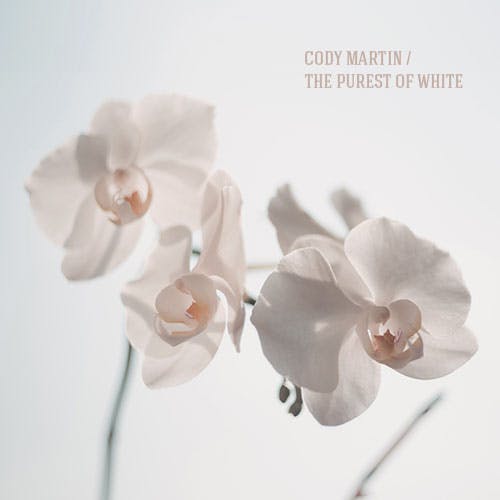 The Purest of White album cover