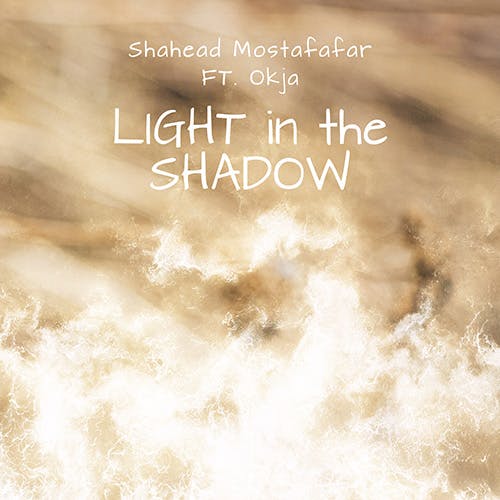 Light in the Shadow album cover