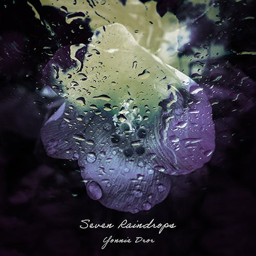 Seven Raindrops album cover