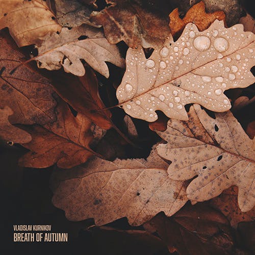 Breath of Autumn album cover