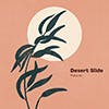 Desert Slide album cover