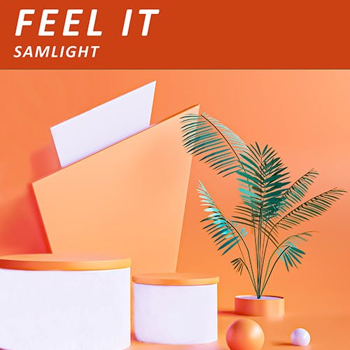 Feel It album cover