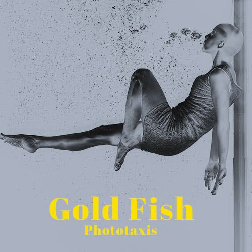 Gold Fish album cover