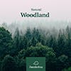 Natural Woodland album cover