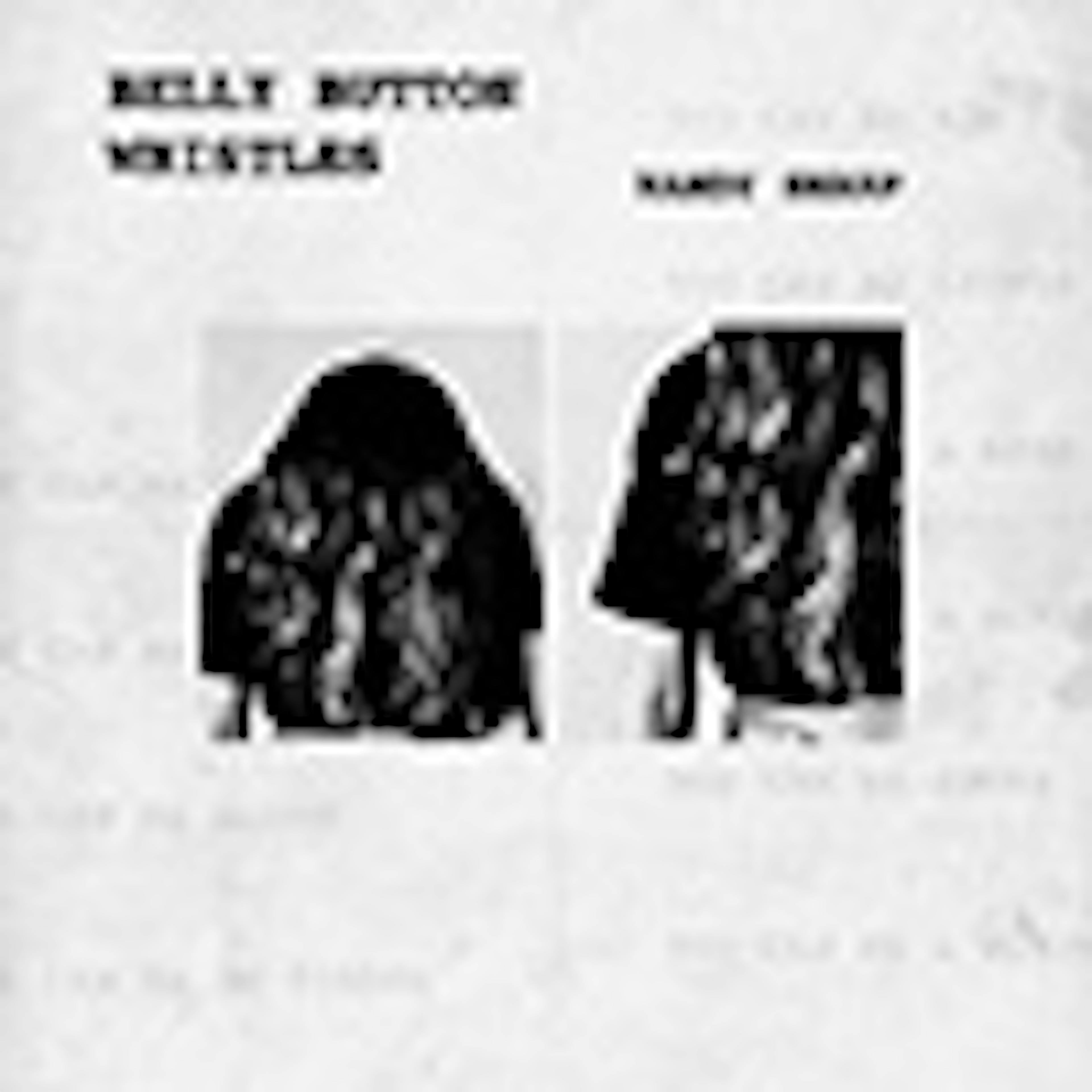 Belly Button Whistles album cover