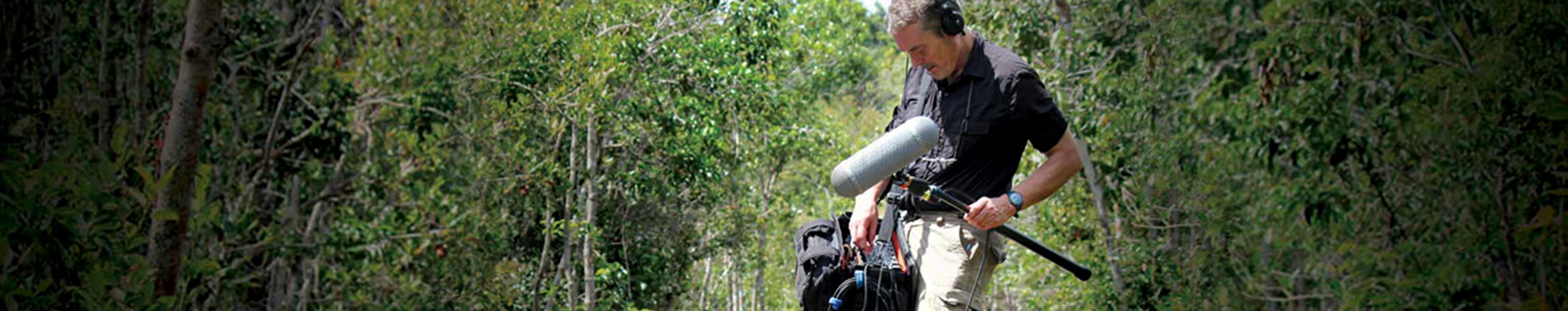 Australian Bushland - Wetland, Nighttime, Animals Howling, Insects Buzzing by Craig Carter Collection