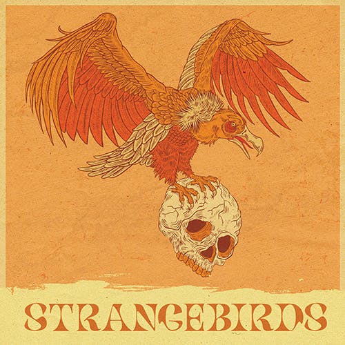 Strangebirds album cover