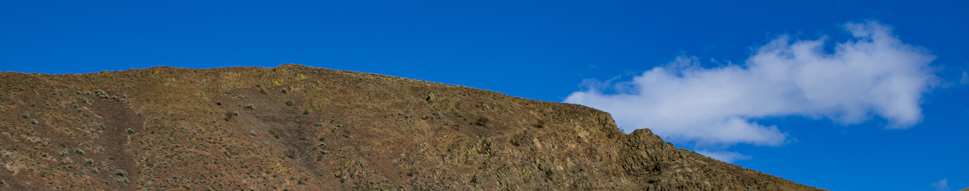 Seattle Ambiences - Garbage Truck, Workers Loading Trash, Steam Pipes by Sky River Sound